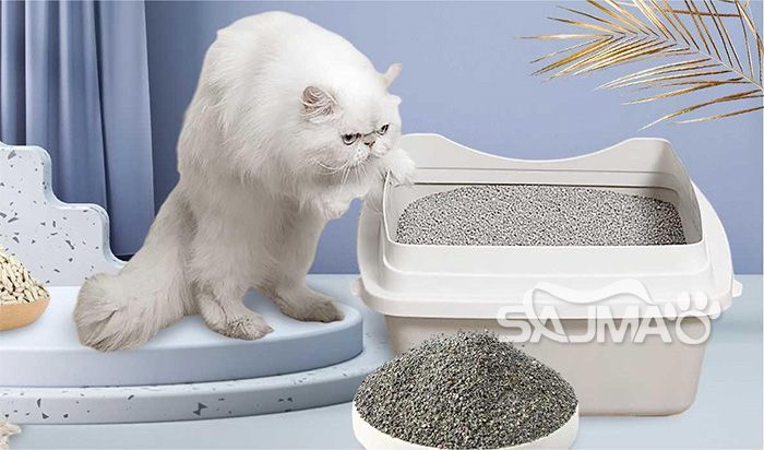 Mixed Cat Litter04