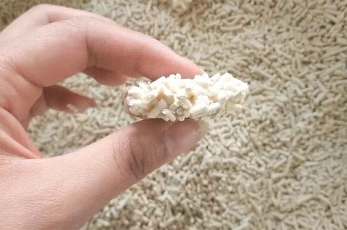 Tofu cat litter clumps together