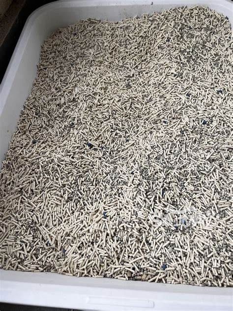 The Rise of Bulk Mixed Cat Litter: Why More Businesses Are Switching
