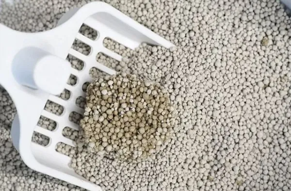 Bentonite Cat Litter