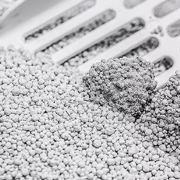 Bentonite Cat Litter Cost-Effective and Long-Lasting