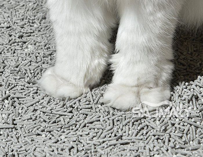 Bulk Purchasing Mixed Cat Litter: A Sustainable and Cost-Effective Solution