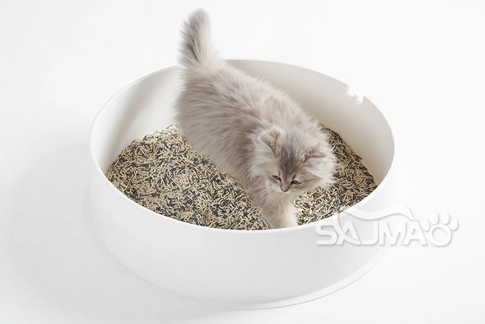 Bulk Buying Mixed Cat Litter2