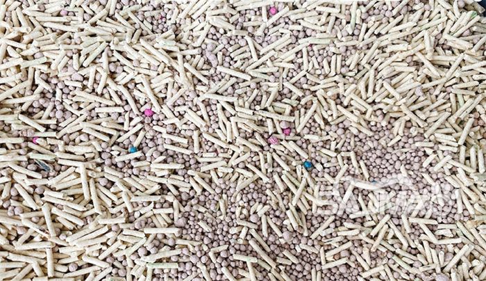The Top Reasons to Choose Wholesale Mixed Cat Litter for Your Business