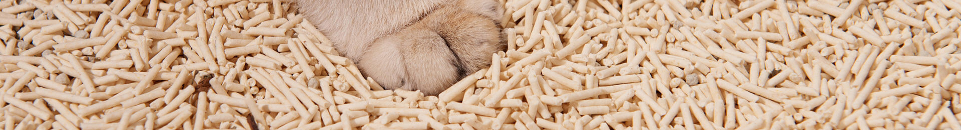 Tofu Cat Litter