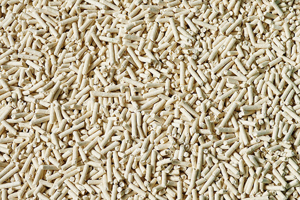 Tofu Cat Litter