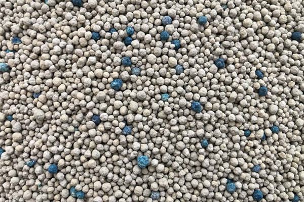 Bentonite Cat Litter
