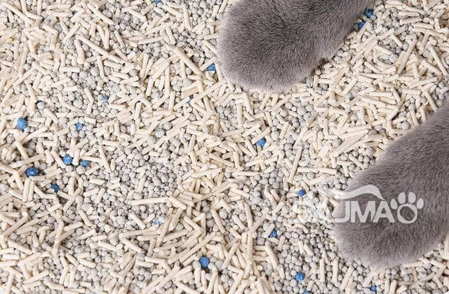 Mixed Cat Litter
